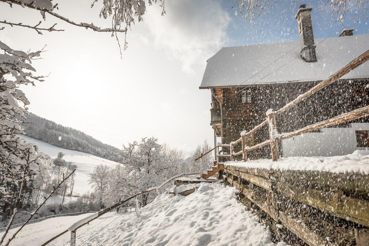 Urlaub Auf Der Alm "Deluxe" Villa Preggraben Eksteriør billede