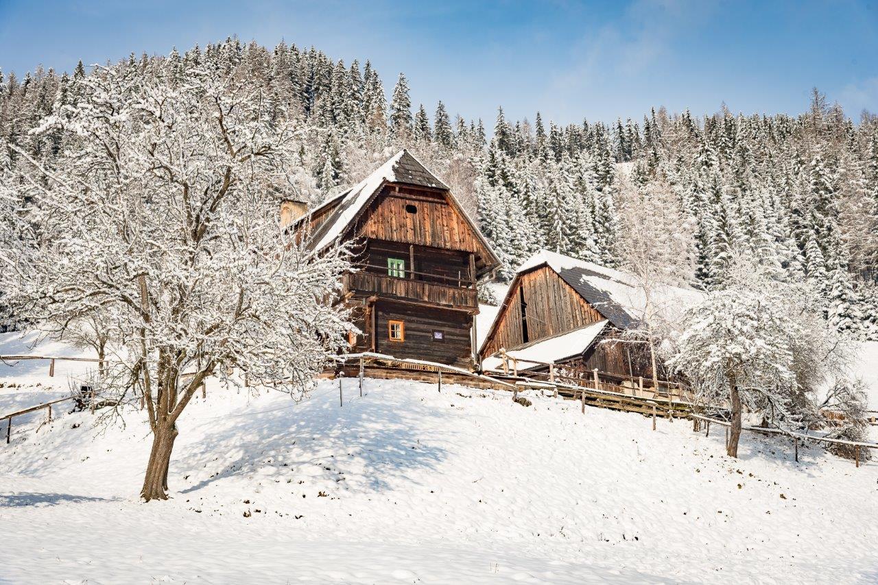Urlaub Auf Der Alm "Deluxe" Villa Preggraben Eksteriør billede