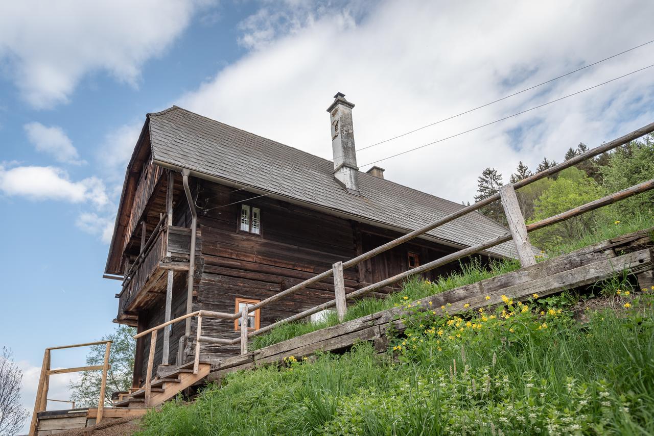 Urlaub Auf Der Alm "Deluxe" Villa Preggraben Eksteriør billede