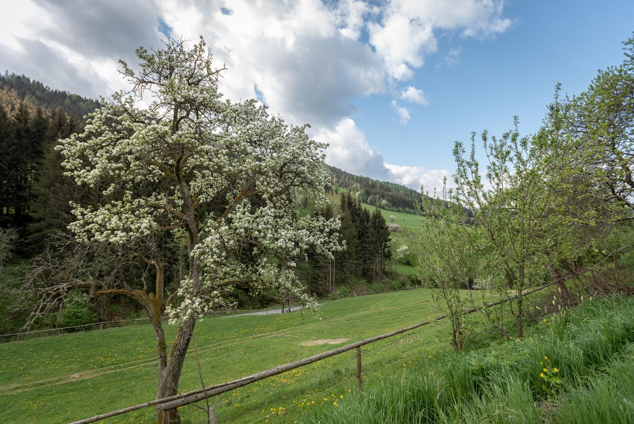 Urlaub Auf Der Alm "Deluxe" Villa Preggraben Eksteriør billede