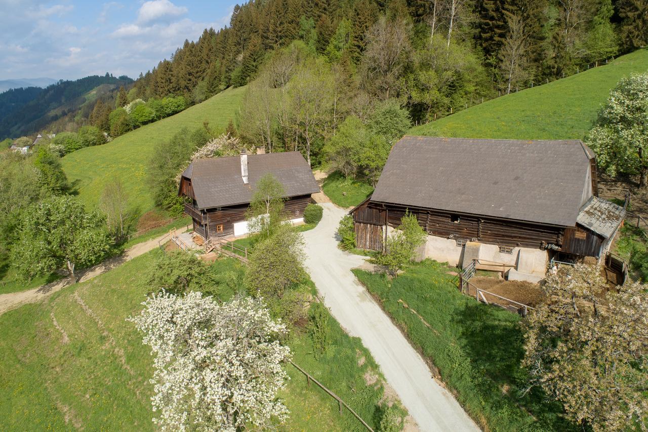 Urlaub Auf Der Alm "Deluxe" Villa Preggraben Eksteriør billede