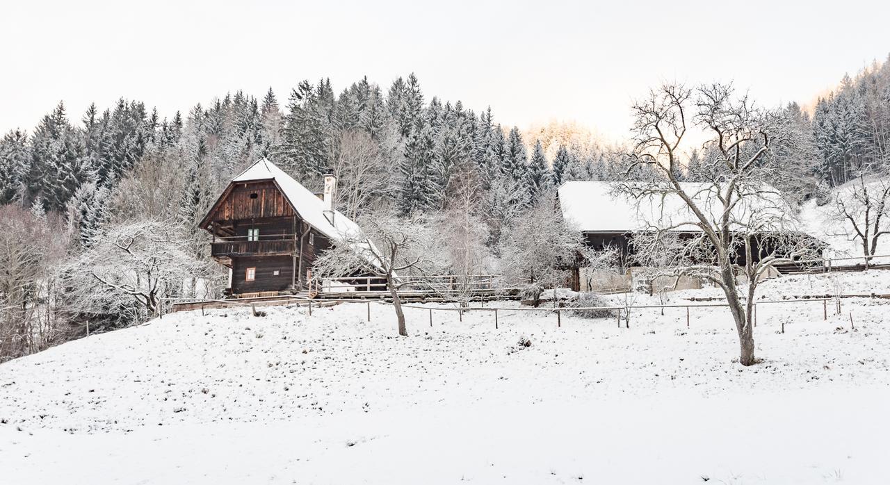 Urlaub Auf Der Alm "Deluxe" Villa Preggraben Eksteriør billede